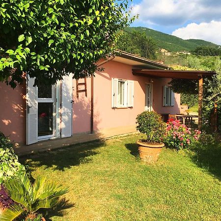 Assisi Villa Randr Сан-Витале Экстерьер фото